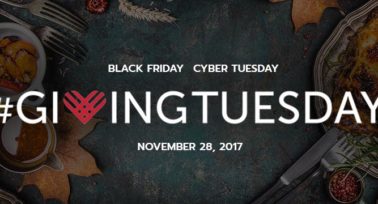 Viv GivingTuesday Giveaway!
