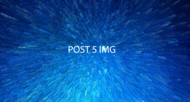 Test Post 5